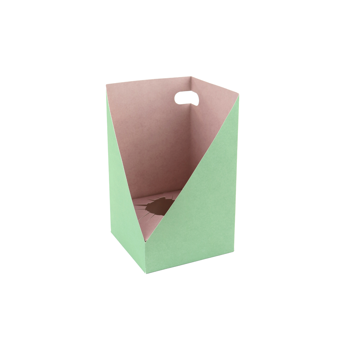 Aloe Succulent Box Green/Pink - Packed by 25