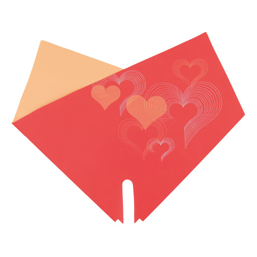 Romantic Hearts Skirt