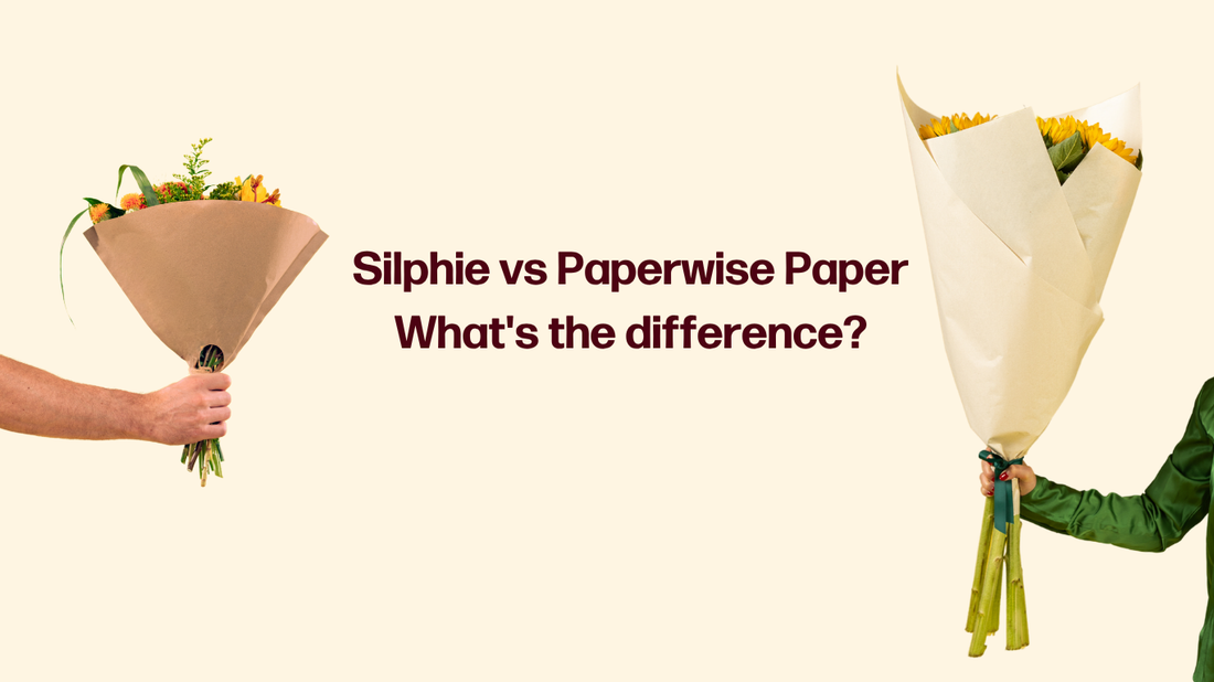 Silphie VS Paperwise Paper