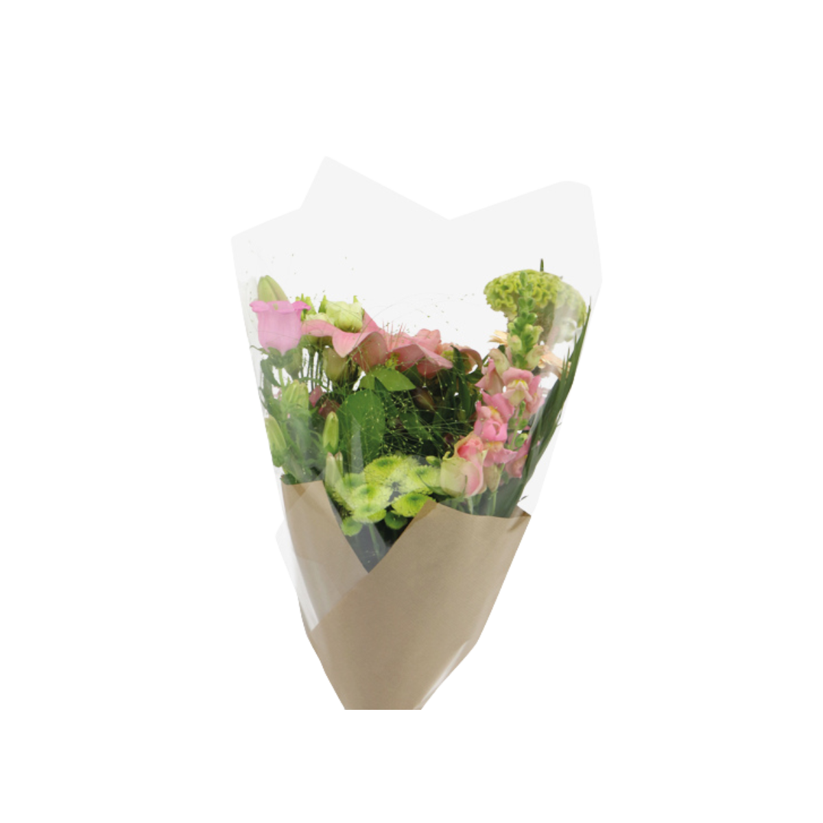 Field bouquet Prefold - 50cm - Packed by 25