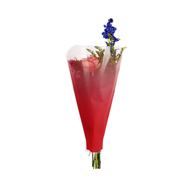 Usual Sleeve 50x35x10cm Red