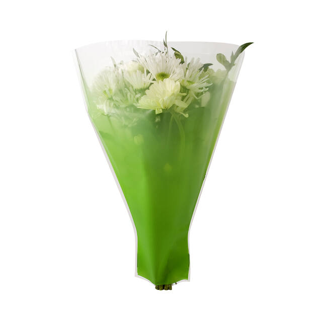 Usual Sleeve 50x44x12cm Green