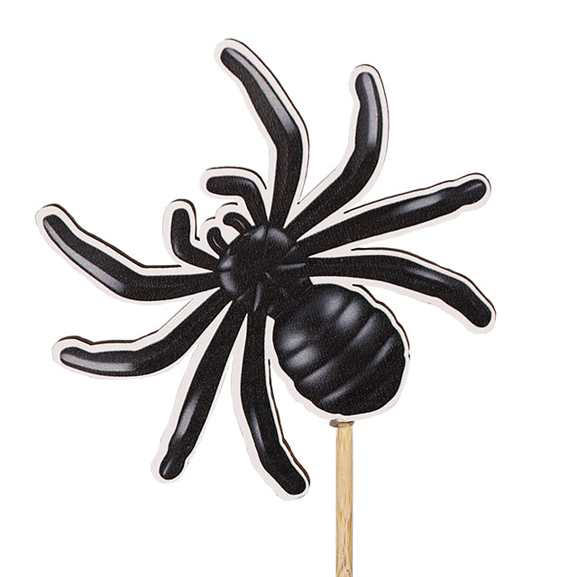 Spider Pick - 50cm