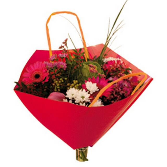 Kraft bag red