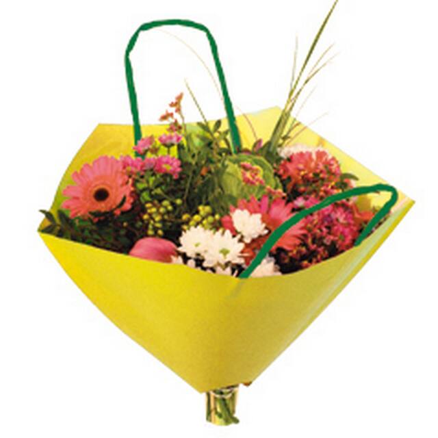 Kraft bag yellow