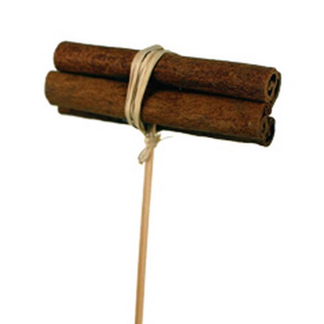 Cinnamon Bundle Pick