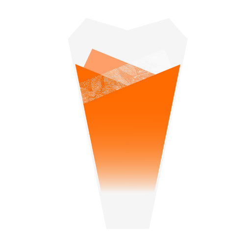 Enchanted Sleeve Orange