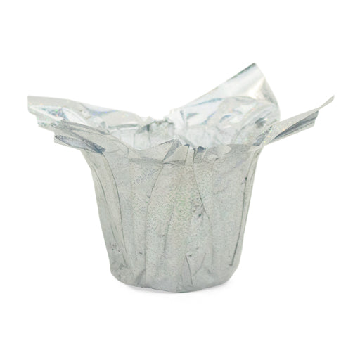 Shiny Fastwrap Silver